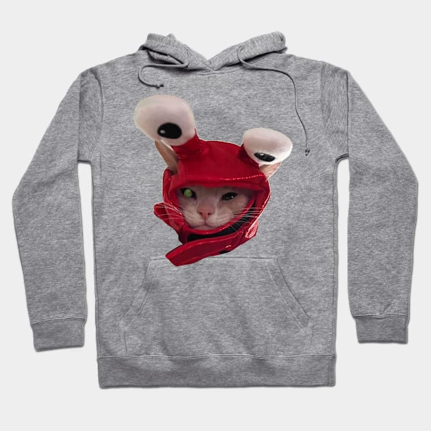 Lobster cat Hoodie by Amanda Excell